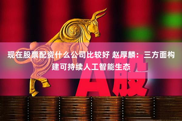 现在股票配资什么公司比较好 赵厚麟：三方面构建可持续人工智能生态