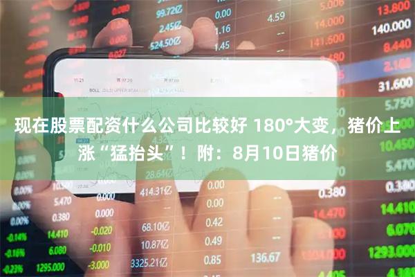 现在股票配资什么公司比较好 180°大变，猪价上涨“猛抬头”！附：8月10日猪价
