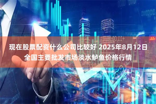 现在股票配资什么公司比较好 2025年8月12日全国主要批发市场淡水鲈鱼价格行情