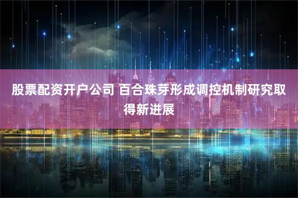 股票配资开户公司 百合珠芽形成调控机制研究取得新进展