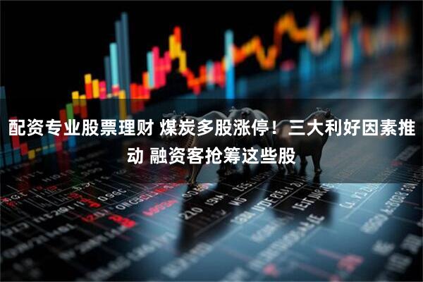 配资专业股票理财 煤炭多股涨停!三大利好因素推动 融资客抢筹这些股