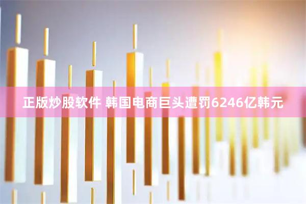 正版炒股软件 韩国电商巨头遭罚6246亿韩元